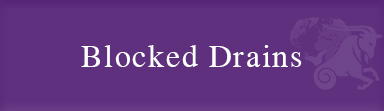 Blocked-Drains Blocked-Drains
