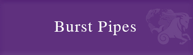 Burst-Pipes Burst-Pipes